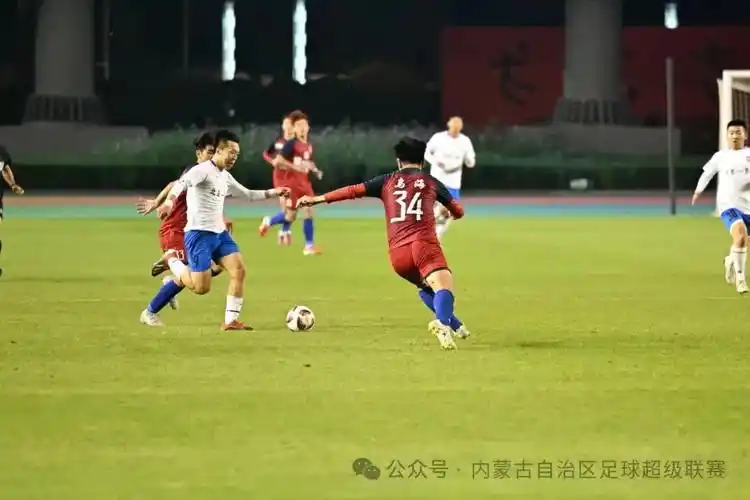 国产又黄又大又粗又壮